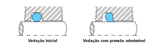 O'Rings - Figura 1
